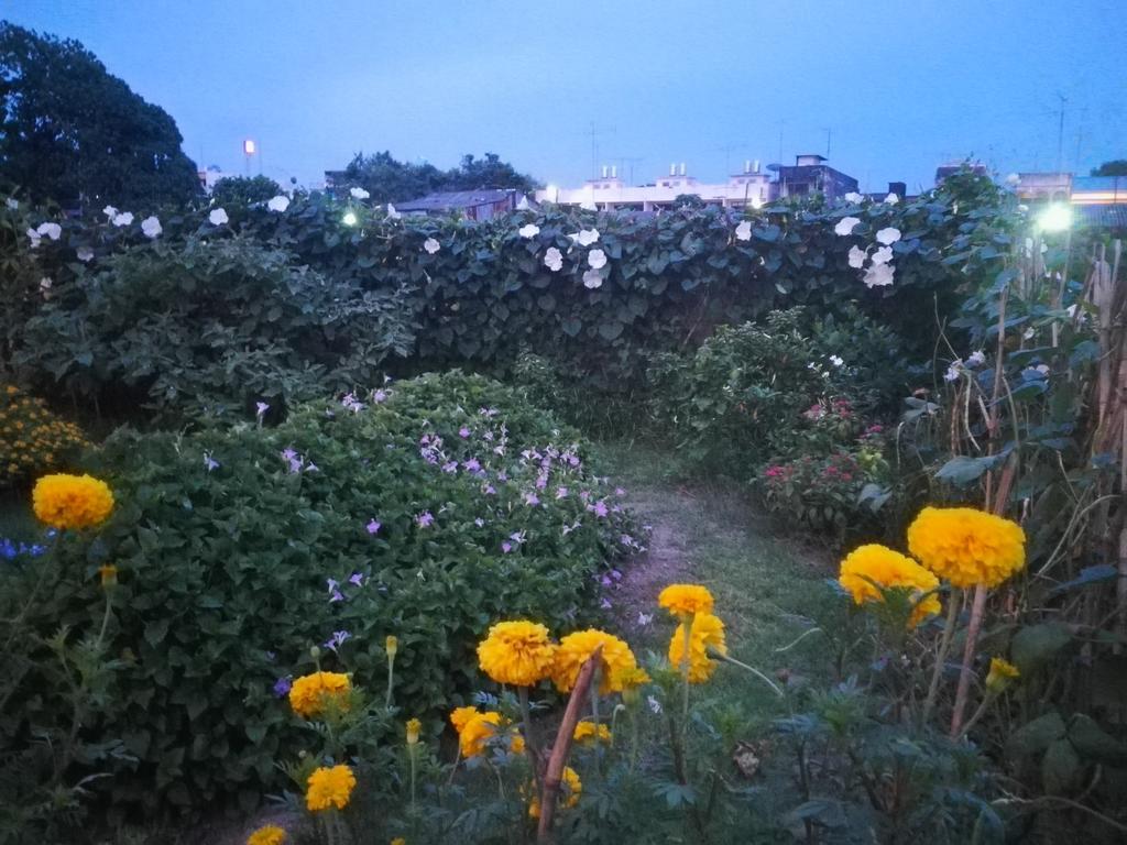 Baan Bussaba Hotel Trang Zewnętrze zdjęcie